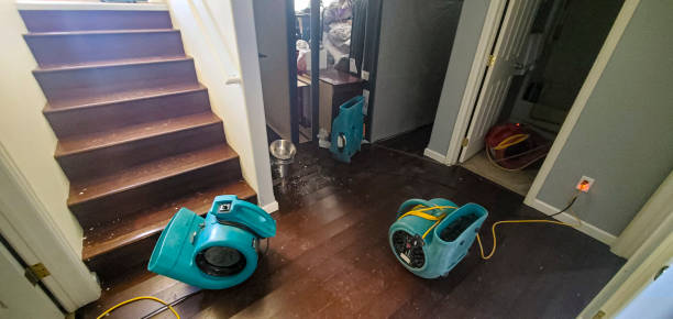 Best Flooded house restoration  in Massac, KY