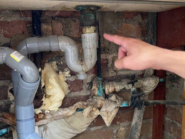 Best Mold removal after water damage  in Massac, KY